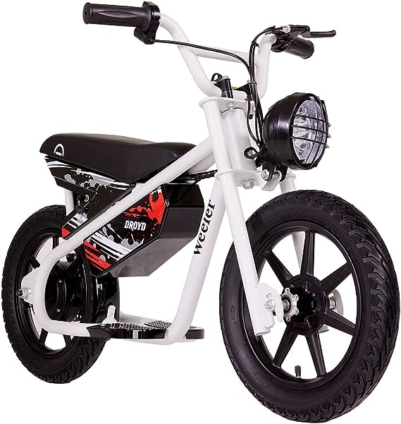 electric mini bike for adults