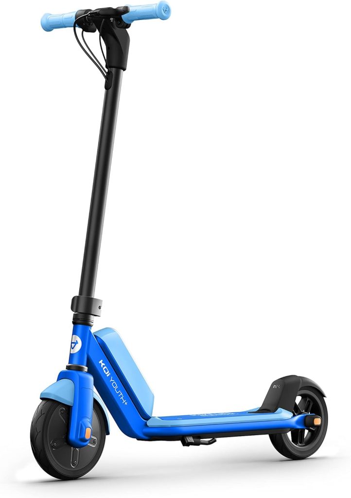 NIU electric scooter
